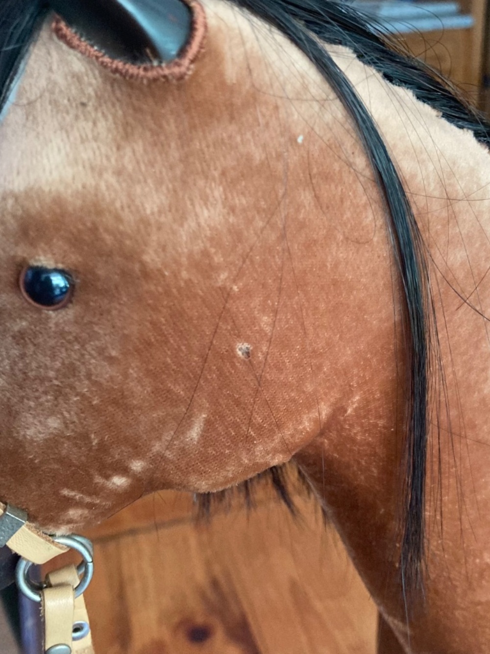 American Girl horse - Picture 2 of 4